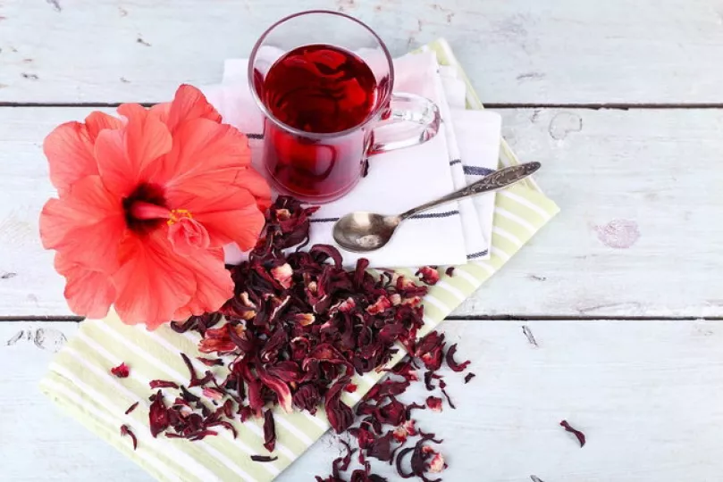 Conocida también como hibisco, esta planta se caracteriza por ser rica en antocianinas.