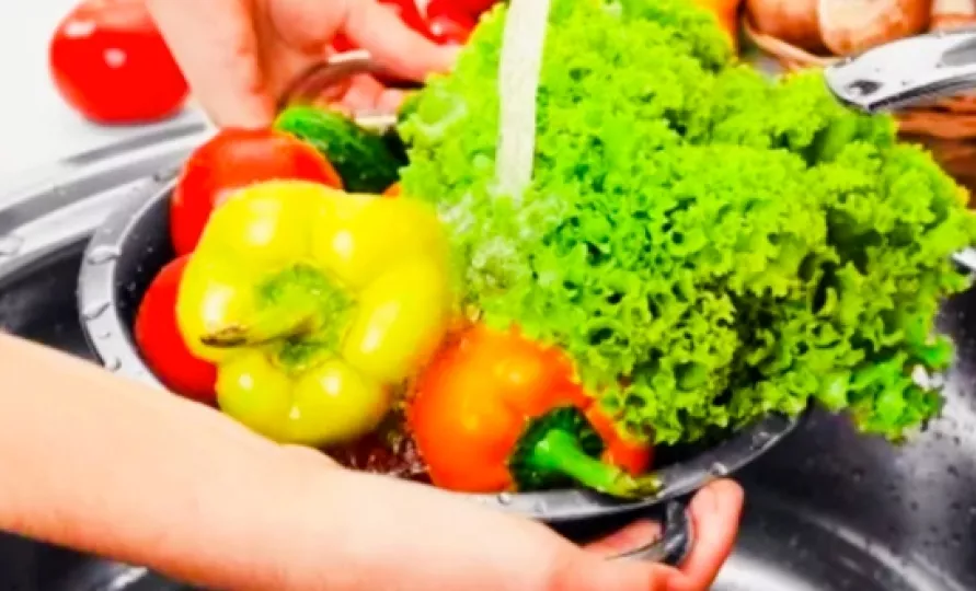 Garantizar la inocuidad de los alimentos durante el verano debe ser una prioridad