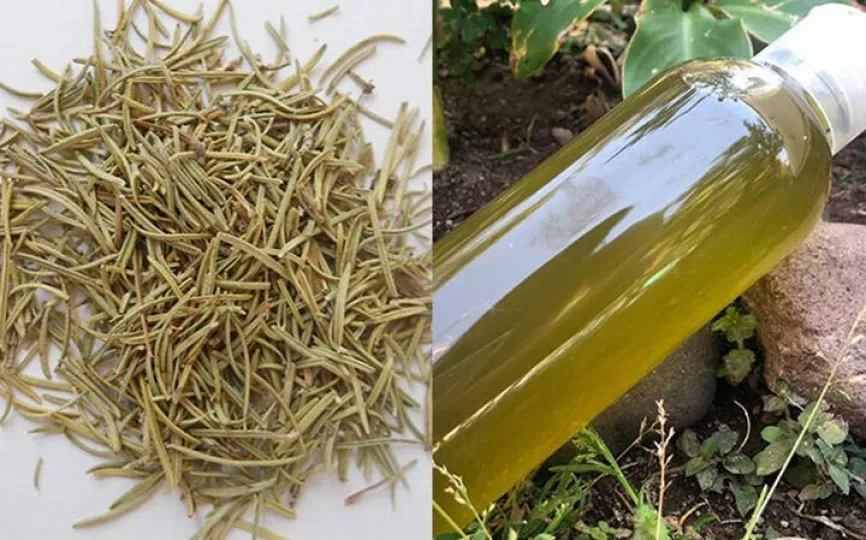Romero para el cabello