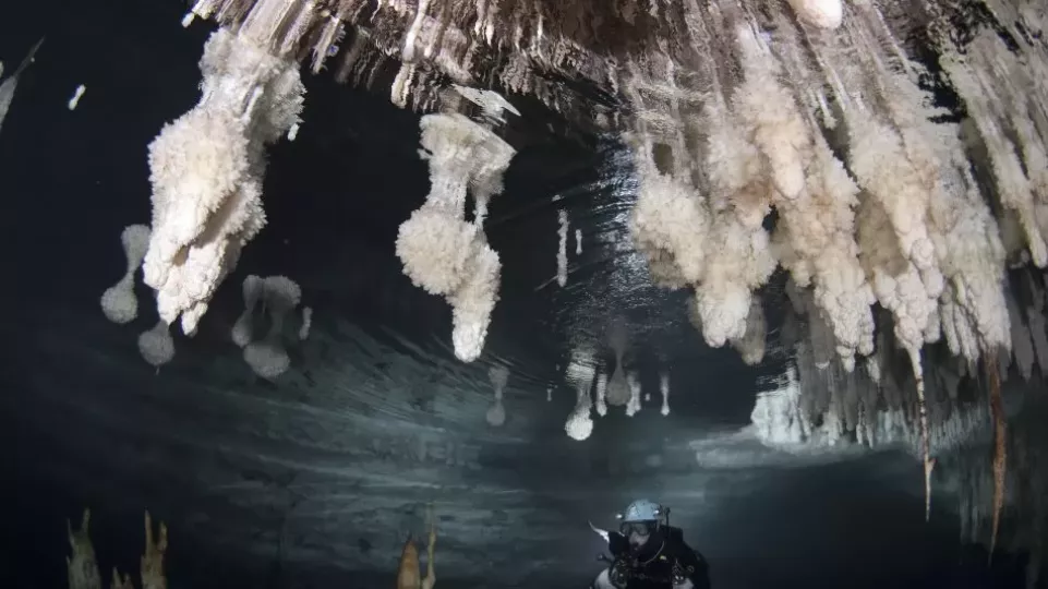 cueva