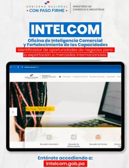 Plataforma digital de Intelcom