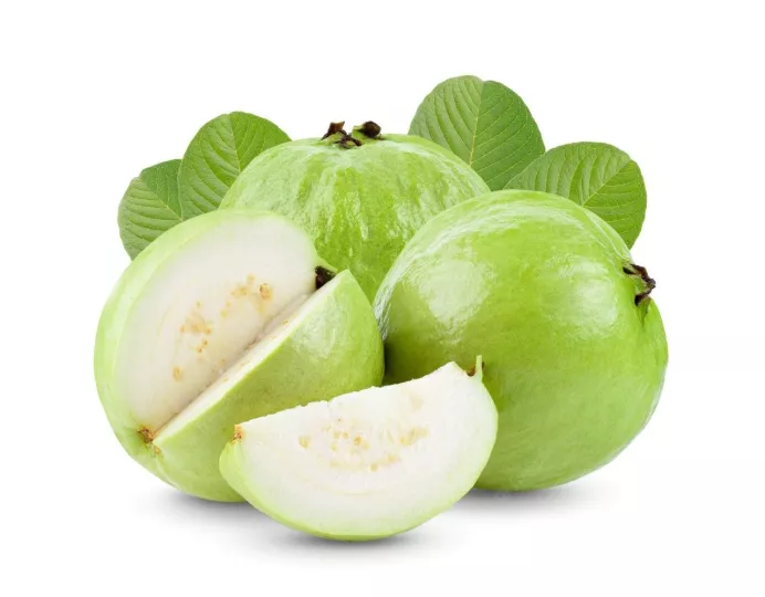 Guayaba
