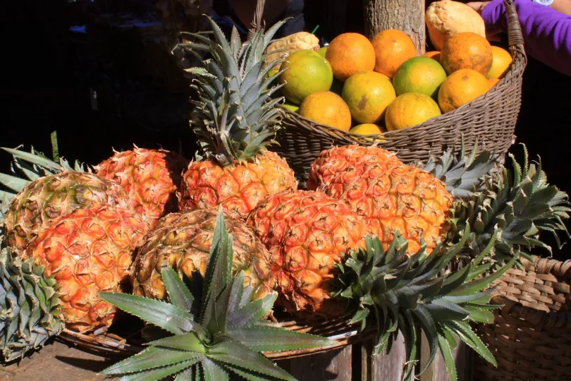 frutas cuba mipyme