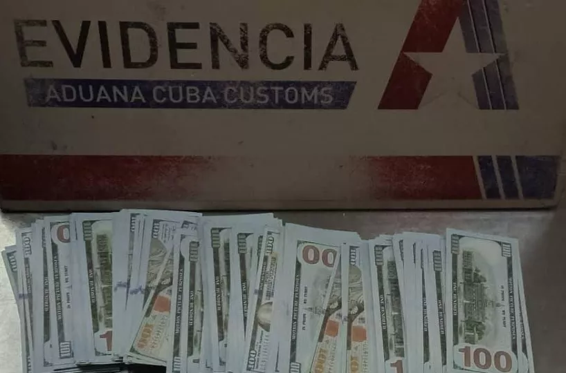 dolares falsos