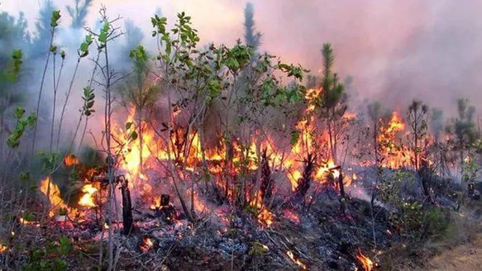 Reportan 70 incendios forestales en Cuba en menos de dos meses