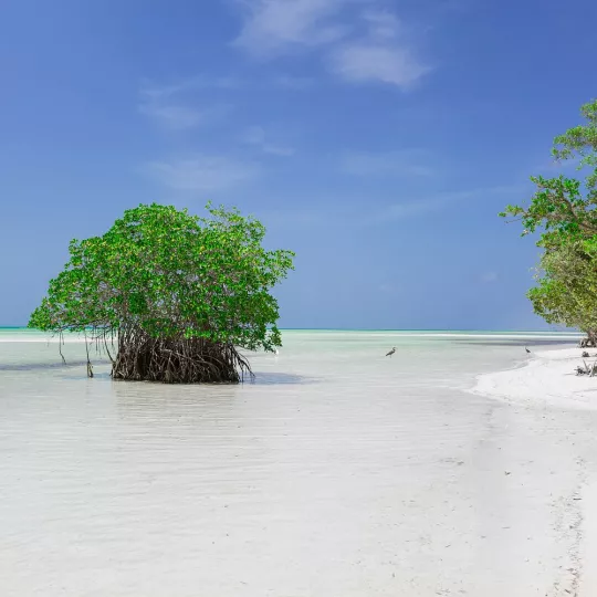 Cayo Coco, uno de los principales destinos turísticos en Cuba 