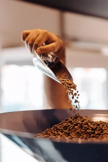 Financiarán en dólares producciones de granos, carbón, café, cacao y miel en Cuba
