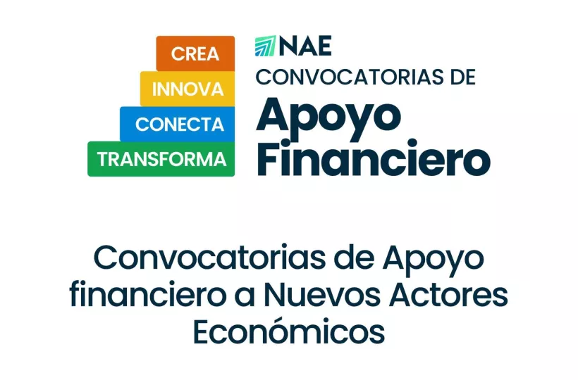 Convocatorias del PNUD para actores económicos en Cuba: Todo lo que debes saber