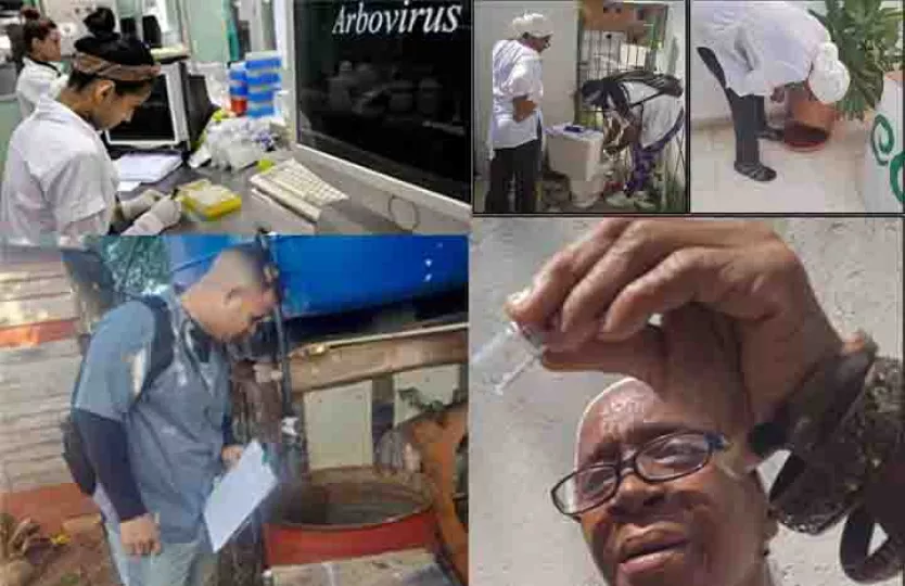 La situación epidemiológica actual se caracteriza por la presencia de arbovirosis transmitidas por mosquitos Aedes Aegypti, Culex y jejenes.