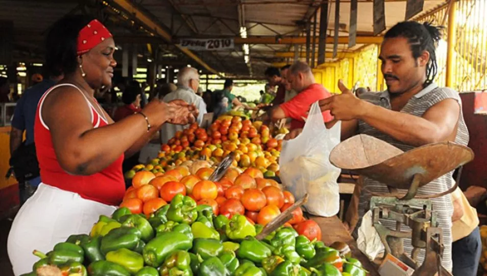 La Habana medidas agro