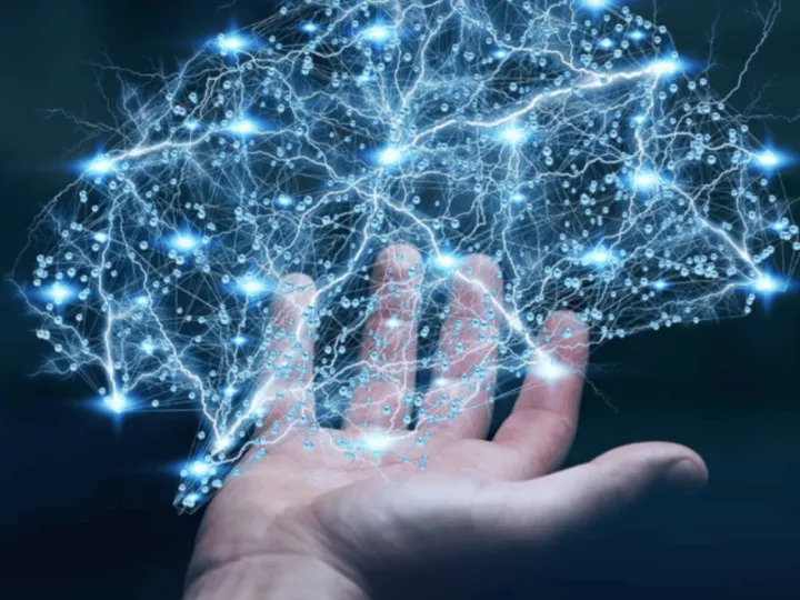 Unesco neurociencia