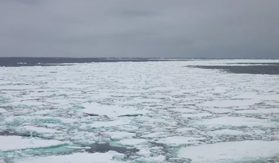 Las imágenes muestran un colapso gradual de plataformas de hielo consideradas estables hasta hace poco.