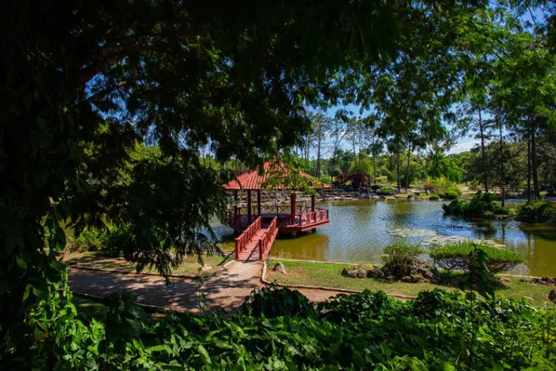 Imagen del Jardín Botánico Nacional de Cuba