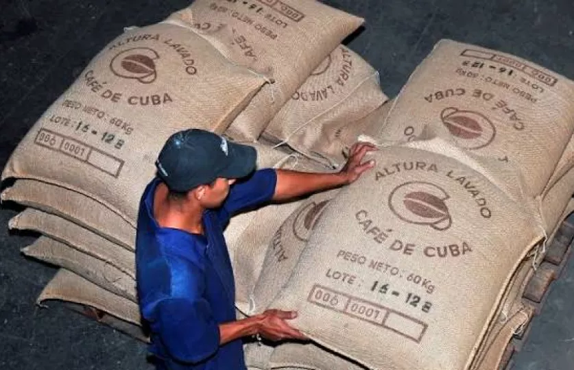 Sacos de café almacenados en una instalación productiva, representando la actividad agroexportadora de la provincia.