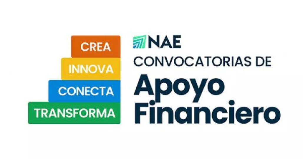 Logotipo y elementos gráficos relacionados con el proyecto Nuevos Actores Económicos (NAE).