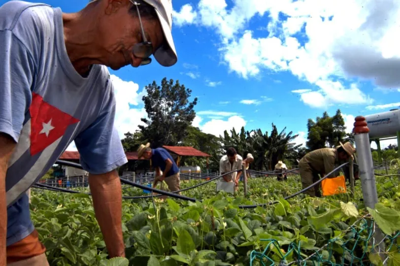 Miguel Díaz-Canel durante su recorrido en la Zona de Defensa de Capdevila-Altahabana.