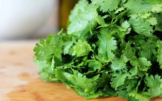 El cilantro también es conocido por ser digestivo, antihipertensivo, desintoxicante, y por ayudar a reducir el azúcar en la sangre y el colesterol
