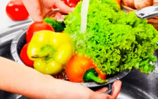 Garantizar la inocuidad de los alimentos durante el verano debe ser una prioridad