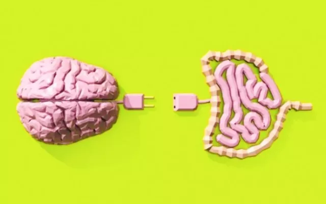 La relación entre lo que te alimenta y tu bienestar mental están estrechamente vinculadas