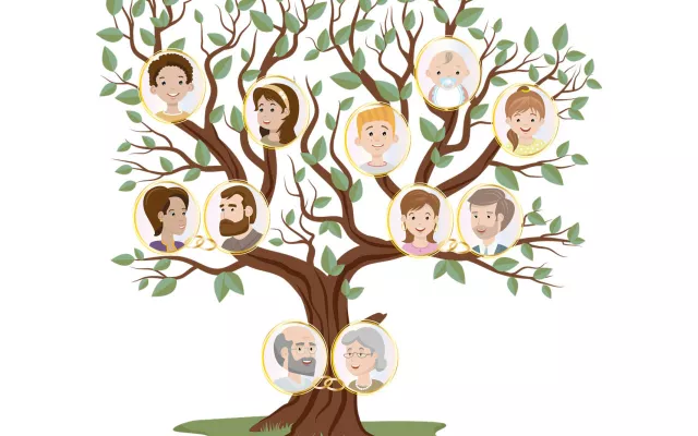 En esta página los servicios más básicos son gratuitos e incluso, puedes crear tu propio árbol genealógico. 