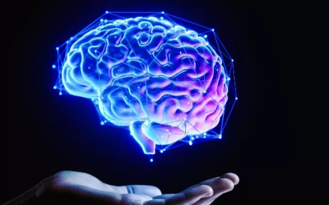El cerebro necesita cuidados, la alimentación es uno de los modos de potenciarlo y protegerlo