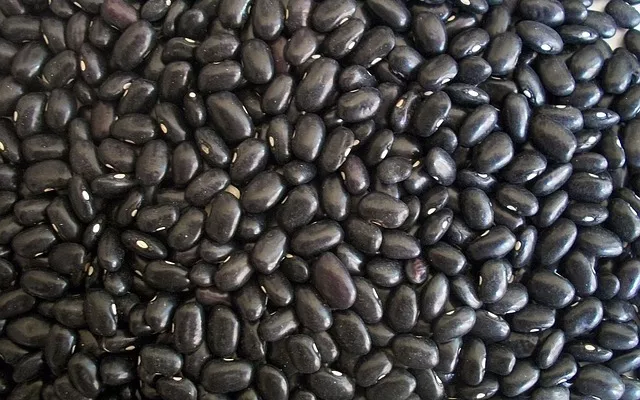 frijoles negros Beep Beep