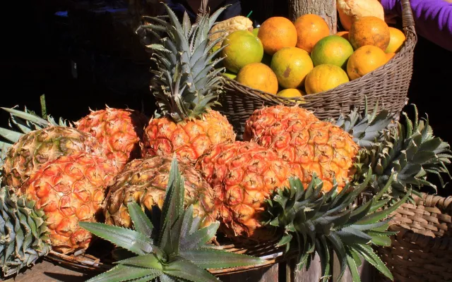 frutas cuba mipyme