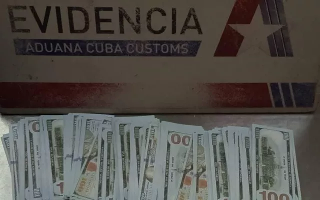 dolares falsos