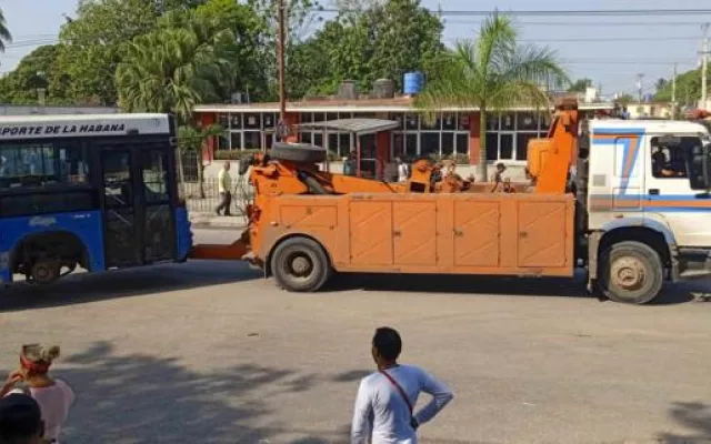 Los ómnibus se distribuyeron en diferentes terminales de la capital