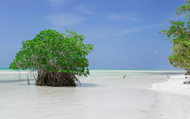Cayo Coco, uno de los principales destinos turísticos en Cuba 