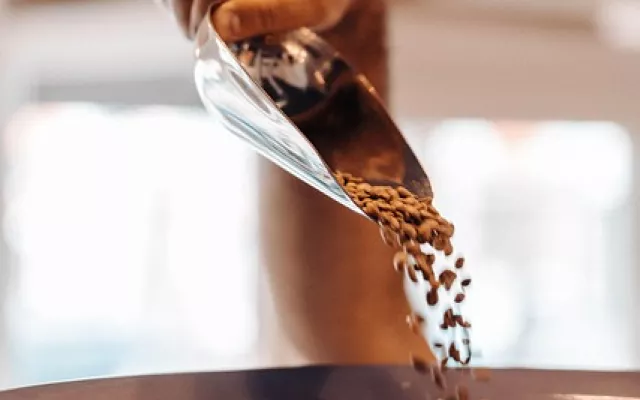 Financiarán en dólares producciones de granos, carbón, café, cacao y miel en Cuba