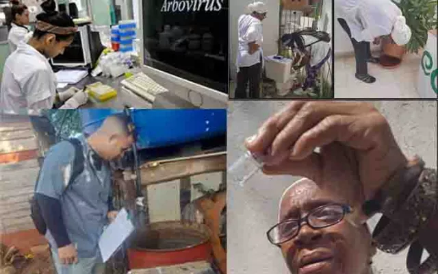 La situación epidemiológica actual se caracteriza por la presencia de arbovirosis transmitidas por mosquitos Aedes Aegypti, Culex y jejenes.