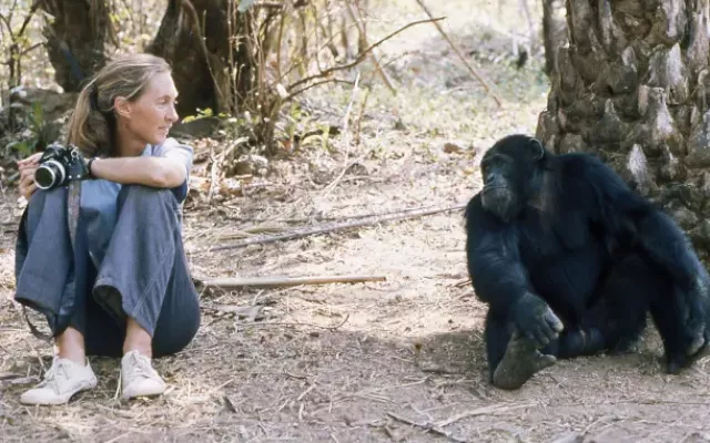 Jane Goodall