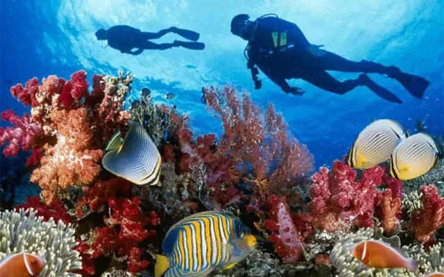 Acuario Nacional de Cuba inaugura centro de buceo con certificación internacional