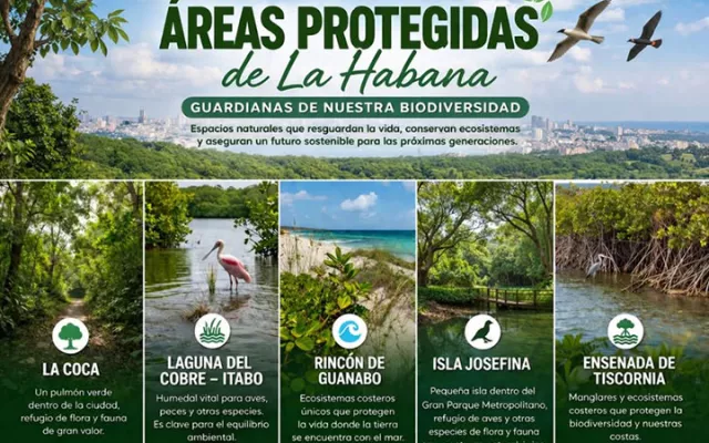 Vista de un paisaje natural que representa el ecosistema de una de las áreas protegidas en Cuba.
