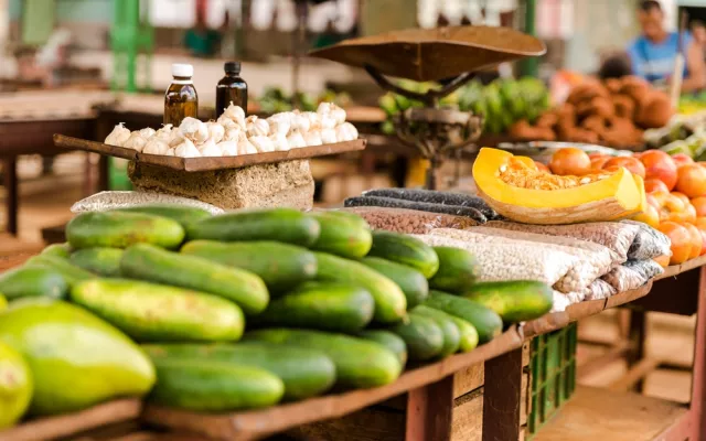 Campo de cultivo representando el sector agrícola y la comercialización de alimentos.