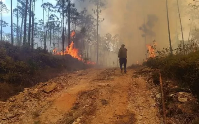 Imagen aérea de un gran incendio forestal cubriendo una zona montañosa en Pinar del Río.