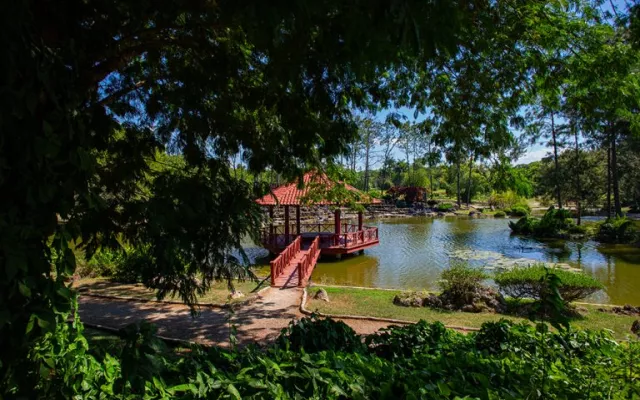Imagen del Jardín Botánico Nacional de Cuba