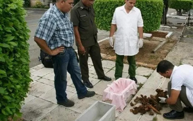 Fotografía de los restos óseos de José Francisco Martí Zayas Bazán durante un procedimiento de exhumación en el Cementerio de Colón.