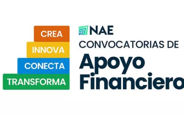 Logotipo y elementos gráficos relacionados con el proyecto Nuevos Actores Económicos (NAE).