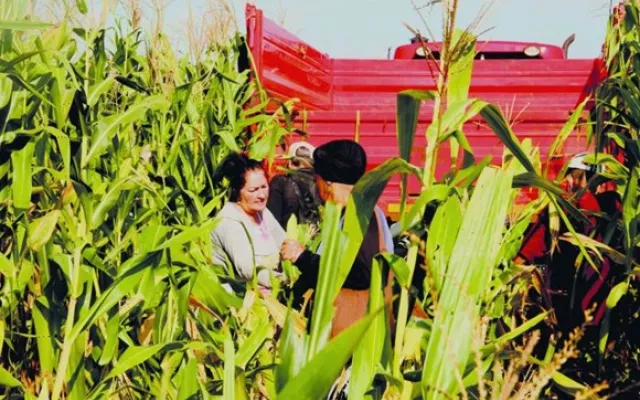 Productores y funcionarios durante el diálogo sobre la implementación de nuevas medidas para la entrega de tierras en usufructo.