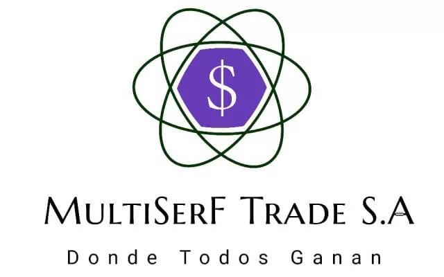Logotipo e imagen corporativa de la empresa MultiSerF S.R.L.